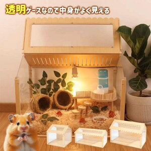 nX^[pP[W 傫 nEX nX^[pP[W nX^[P[W  nX^[ P[W nX^[P[W  P[W ybg P[W  EoɂgȒP