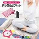 一部即納 15色 指圧マット 枕セット 鍼 指圧スパイクマット ヨガシャクティマットリラクゼーション 刺さり感 痛みリラ…