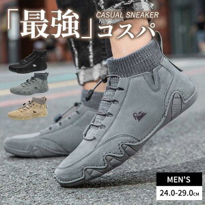 YXj[J[ XG[hjOV[Y EH[LO WMO ʋC g[jO w ^C ʊw ~ JWA Xj[J[ ʋC ɂ h ϖՐ u[c 