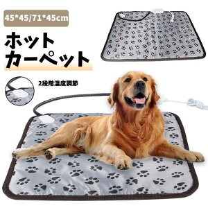 ybgpzbgJ[ybg ybgpq[^[  L dC zbg}bg ybgMpbh ΍ ybgxbh ~p 􂦂  M}bg h dCѕz g ۉ h ΍ 