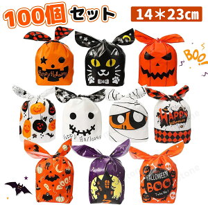 nEB  100Zbg 10 َq LfBobO  v[g MtgobO ڂ ΂ َqobO َq LbY v[g 蕨