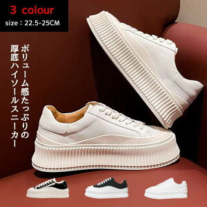 {vXj[J[fB[XXj[J[ ʊw₷_CGbgXj[J[fB[XEH[LOV[Yy ₷ ɂȂtV샌fB[X Xj[J[ jOV