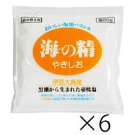 海の精 やきしお 60g 詰替え用 6袋