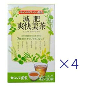 【あす楽対応】 がんこ茶家 減肥爽快美茶 4g×30袋 4箱セット 【送料無料】