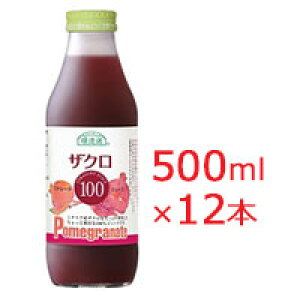}JC I V`AYUN100 500ml×12{yz