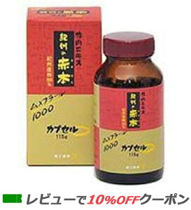 y}\!|Cg2{!zyyΉz ~GLX IB̐Ԗ{ JvZ