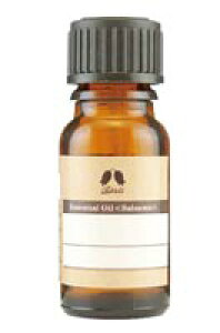 �J���X���� �x���]�C��(�A���R�[��45%) 10ml