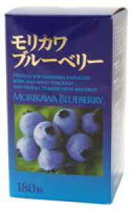 �����J�� �u���[�x���[ 180�� �y���������z