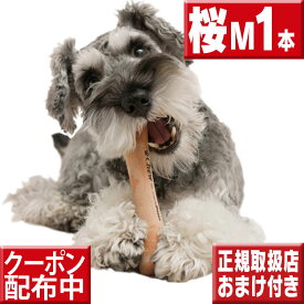 chew for more trees　Mサイズ桜の木 犬 おもちゃ 木 犬の歯固め チュウ・フォー・モア・トゥリーズ 犬のおもちゃ ボーン 犬 しつけ 仔犬 甘噛み 犬 おもちゃ ボーン