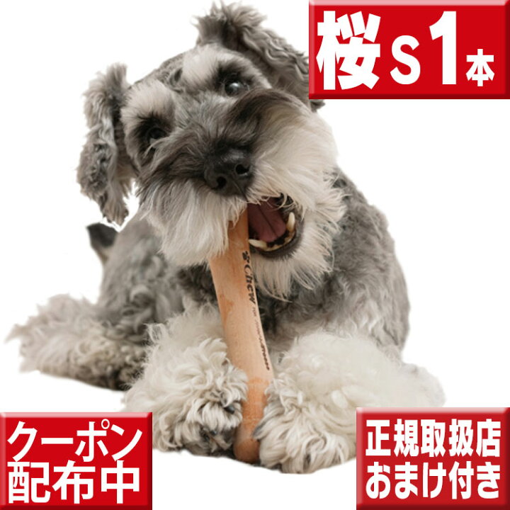 楽天市場 今ならオマケ付 愛犬のストレス発散に Chew For More Trees Sサイズ桜の木 犬 おもちゃ 木 犬の歯固め チュウ フォー モア トゥリーズ 犬のおもちゃ ボーン 犬 しつけ 仔犬 甘噛み 犬 おもちゃ ボーン いいもの特撰館