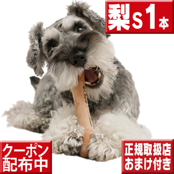 楽天市場 今ならオマケ付 愛犬のストレス発散に Chew For More Trees Sサイズ梨の木 犬 おもちゃ 木 犬の歯固め チュウ フォー モア トゥリーズ 犬のおもちゃ ボーン 犬 しつけ 仔犬 甘噛み 犬 おもちゃ ボーン いいもの特撰館
