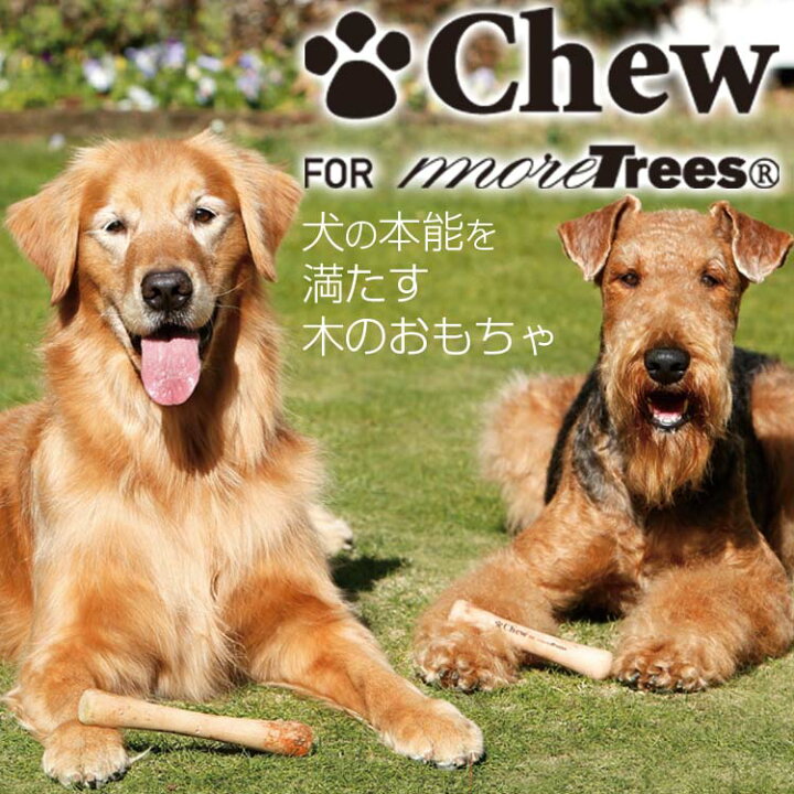 楽天市場 今ならオマケ付 愛犬のストレス発散に Chew For More Trees Sサイズ梨の木 犬 おもちゃ 木 犬の歯固め チュウ フォー モア トゥリーズ 犬のおもちゃ ボーン 犬 しつけ 仔犬 甘噛み 犬 おもちゃ ボーン いいもの特撰館