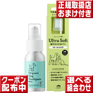 I[KjbN hbO gD[Xy[Xg50g & 炩uVy`OX֑z ChIuI[KjbN   Y p p uV  ybgpuV yb