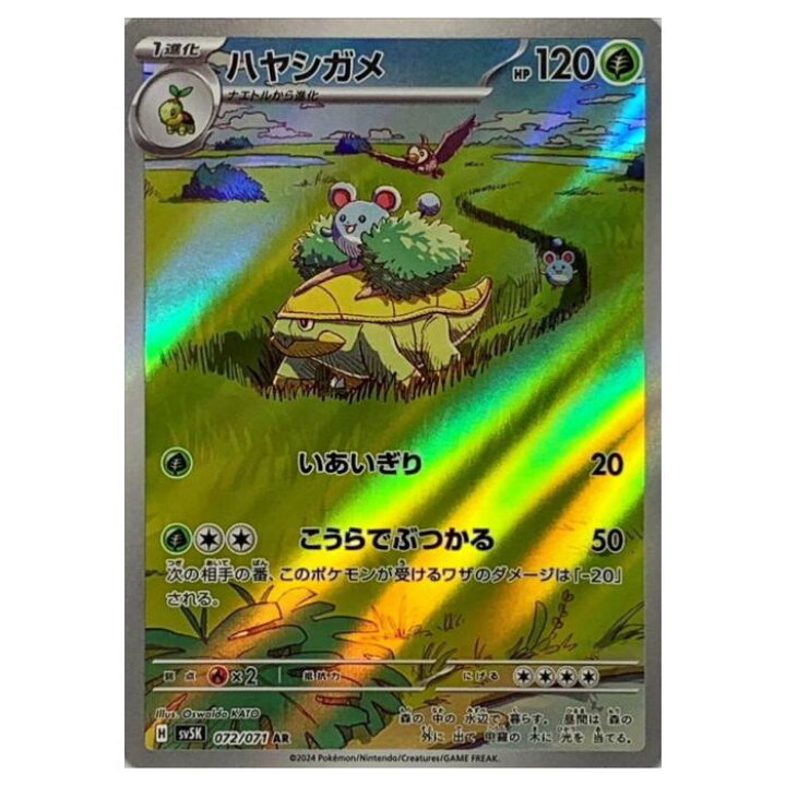 楽天市場】ポケモンカードゲーム ハヤシガメ SV5K 拡張パック ワイルド 