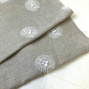 y݌Ɍzl hJ Gerbera n 60Ԏ  [X IWifUC ԕ K[x Li NA Y 100/103cm y50cmPʁzqiON43599r