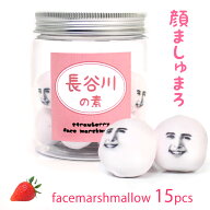 ホワイトデー マシュマロ 名入れ 顔 顔写真 写真プリント 文字入れ おもしろ 面白い 楽しい 珍しい スイ…
