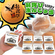 お詫び メッセージ 菓子 お菓子 6個 個包装 会社 職場 オフィス ビジネス 差し入れ 菓子折り 手土産 土下…