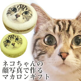 楽天市場 猫 スイーツ お菓子 の通販