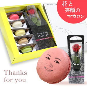 Mtg{bNX vU[uht[ }J 5Zbg[ }J  XC[cMtg 蕨 낢 Ԃ av[g َq ʐ^ o  َq Mt