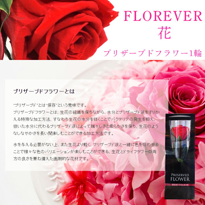 楽天市場 2顔ok プリザーブドフラワー 顔マカロン 10個セット 顔 マカロン 贈り物 誕生日プレゼント 花 プレゼント スイーツ お返し ギフト おもしろい お菓子 詰め合わせ 写真入り 顔写真 バラ 花 面白い おもしろ インスタ映え 写真プリント まかろん Gift5 楽天市場 2顔ok プリザーブドフラワー 顔マカロン 10個セット 顔 マカロン 贈り物 誕生日プレゼント 花 プレゼント スイーツ お返し ギフト おもしろい お菓子 詰め合わせ 写真入り 顔写真 バラ 花 面白い おもしろ インスタ映え 写真プリント まかろん Gift5