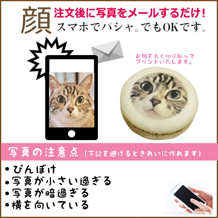 楽天市場 あなたの愛猫 写真で作る にゃん顔マカロン 5個入 フェイスマカロン ねこ ネコ ペット ギフト プレゼント 贈り物 記念日 誕生日 プチギフト お菓子 面白い インスタ映え Gift Gift5 いいなstores