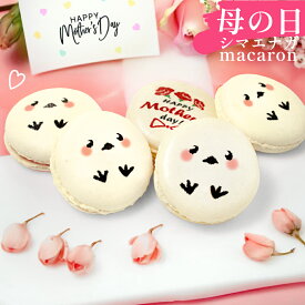 母の日ギフト 洋菓子 シマエナガ マカロン 5個入 お菓子 塩キャラメル イラスト 花とお菓子 カーネーション 2026 食べ物 おもしろ