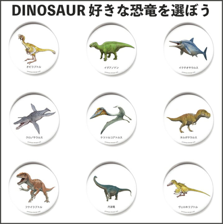 楽天市場 恐竜 キーホルダー プレゼント ギフト 面白 おもしろ グッズ 雑貨 グッズ アイテム 動物 生物 アクセサリー かっこいい 男の子 Und いいなstores