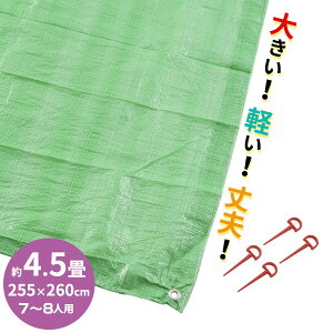���W���[�V�[�g �r�b�O�V�[�g���C�g 7�`8�l�p 4.5��T�C�Y�i255×260cm�j �b �y�� �h�� �傫�� �^���� �Ղ� �h�� �C�x���g �s���t�� �y�O ����h�~