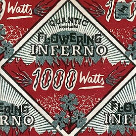 【中古】［CD］1000 WATTS