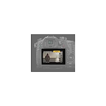 （非常に良い）パナソニック デジタルカメラ LUMIX GH4 専用 V-Log L アップグレードソフトウェア DMW-SFU1