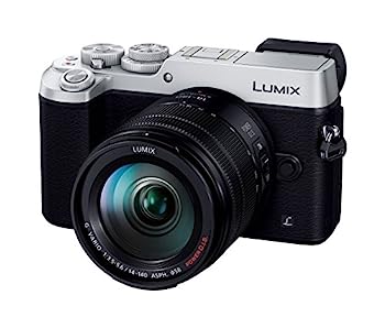 パナソニック ミラーレス一眼カメラ ルミックス GX8 レンズキット 高倍率ズームレンズ付属 2030万画素 シルバー DMC-GX8H-Sのサムネイル