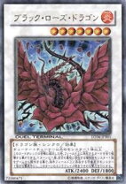 楽天市場】遊戯王 ブラック・ローズ・ドラゴンの通販