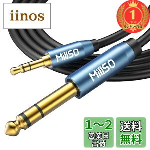 yyVLO1ʊlzyzMillSO 6.35mm 3.5mm ϊP[u IX-IX I[fBIϊP[u 3.5mm~jvO to 6.35mmWvO 24bL XeIP[u 2.4m u[