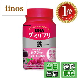【送料無料】【楽天ランキング1位獲得】UHA味覚糖 グミサプリ 鉄 30日分 60粒 1日2粒 グレープ味 色：---