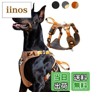 yzJC HOUSE  n[lX ^ y h~ u񂪊J܂v ȒPE \tg p SȂ TCY 3MԔ Ȃ ʋC Pݖh~ U  