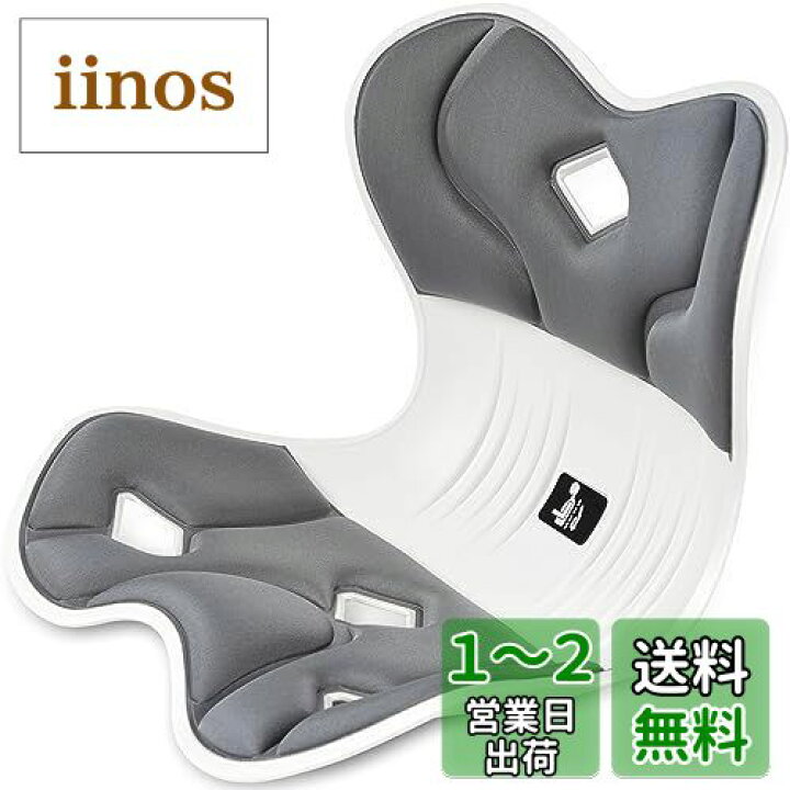 ドイツ レッド?ドット賞受賞製品】姿勢サポート 投げ込ん 椅子【2024 