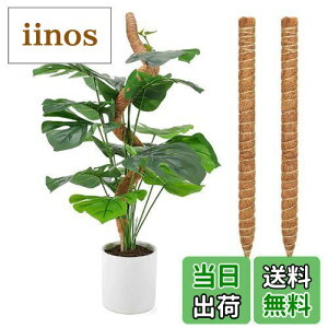 yzOKTOKYU |x ϗtAXe RRXeBbN RRibc K[fjO A x AT|[g vgNC~O|[ |p 2{Zbg