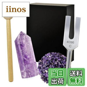 yzNX^`[i[ 4096Hz  VR 򉻗p 5_Zbg bNX {t AWXg WH26 - Purple