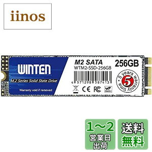 yzWINTEN  SSD 256GB M.2 2280 3D NAND SATA3 6Gb/s (őǎ 500MB/s ő发 500MB/s) WTM2-SSD-256GB yK㗝Xiz