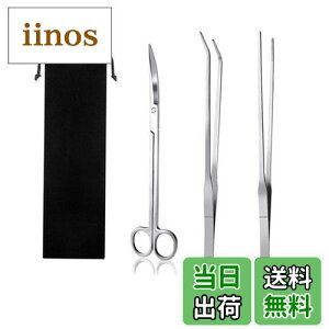 yzYINKE  sZbg & nT~ 3_Zbg XeX p ֗ @\ ٗp p[ܕt