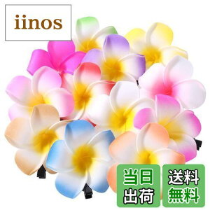 yzFrcolor  wAs wANbv  vA wAANZT[ wANbv nC  wbhhX 6cm 12F 24Zbg