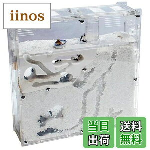 yzEXDUCT A R P[X Zbg   ώ@ Ȃ Lbg A 