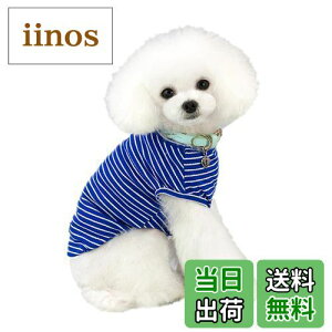 yzKingsie  TVc ėp ̕  XgCv xXg hbOEFA ^ L ybg tďH o U (S, u[)