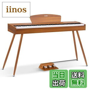 yzDonner dqsAm 88 n}[ANbV 3{y_ X^h A_v^[t { F DDP-80