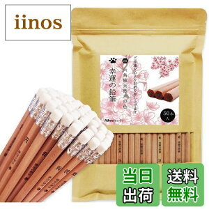 yzAdhereM VR؉M 2B Zp 50{҂ Vtg _炩KAq̊wZ̏A`Ac^AwAܕiAŵ߂̉M  (SohStE50