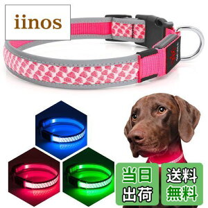 yzKpuplol LED   Cg U q  pP ^A^A^p ybgpiTPUޗ[500m悩ڎ\] ybg  S h X[ ~fBA 