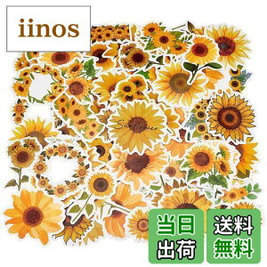 yzPH PandaHall Ђ܂ XebJ[Zbg 100Zbg V[  gV[Y A R[Wf  蒠̏ ԃXebJ[ 蒠V[