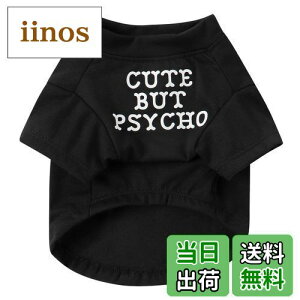 yzJimjis  t  H ~ ̕ ^Ngbv ybg   L    hbOEFAm L̕ ʋC Lk U o  ѕی 