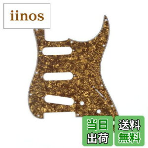 yzMusiclily 11 SSS XggsbNK[hFender USA/LVRX^_[hSTXggLX^[GLM^[pA4PuYp[