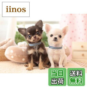 yzG|bN 300s[X WO\[pY /ybg   (26×38cm) 25-163 ̂t wt _t EPOCH